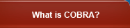 what is COBRA?