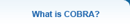 what is COBRA?
