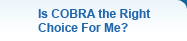 Is COBRA the Right Choice For Me?