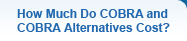 How Much Do COBRA and COBRA Alternatives Cost?