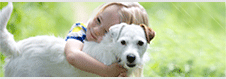Dog Health Insurance Dog Health Insurance