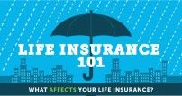 Life Insurance 101 (Infographic)